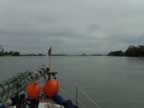 At K317, Le Bac de BARCARIN,  just before SALIN DE GIRAUD, ferry on the roads D36 and D356